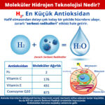 HypogenX El Cilt Yara Dezenfektanı - 200 mL Sprey Başlıklı (Hipokloröz Asit Bazlı) - Görsel 2